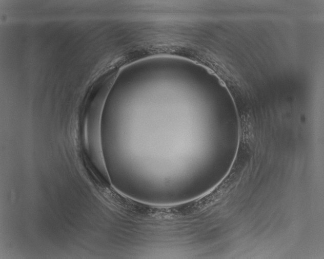 X0000051250742200506171135