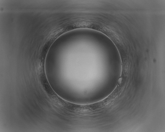 X0000051250743200506171135