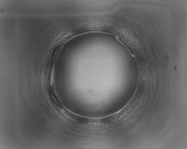 X0000051250744200506171135