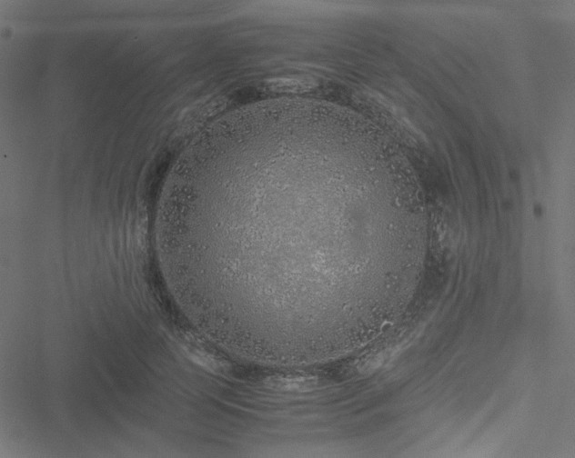 X0000051250745200506171135