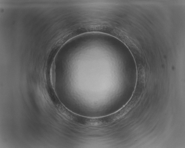 X0000051250746200506171135