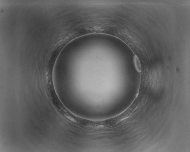 X0000051250747200506171135