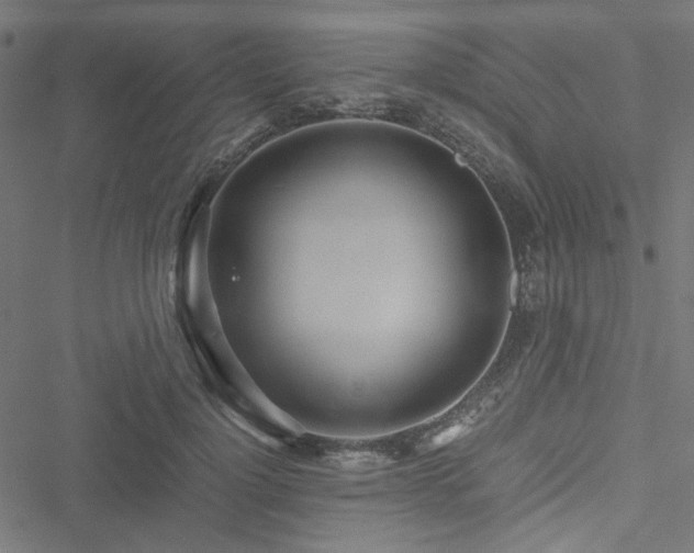 X0000051250748200506171135