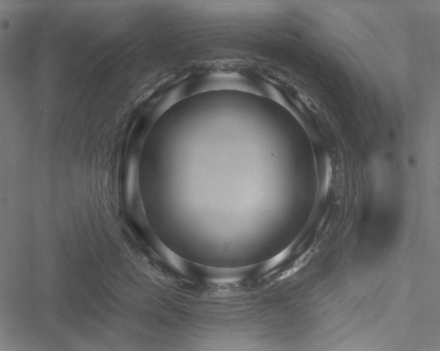 X0000051250750200506171135