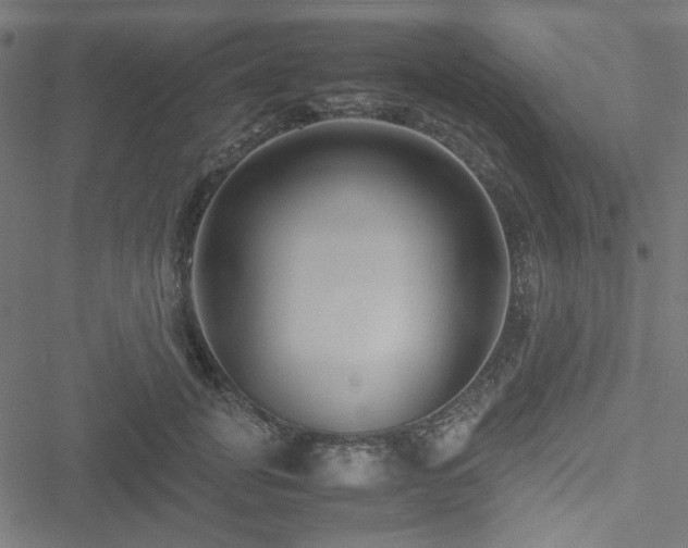 X0000051250751200506171135