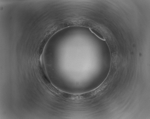 X0000051250752200506171135