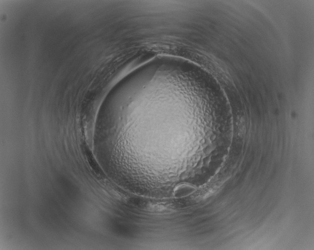 X0000051250753200506171135