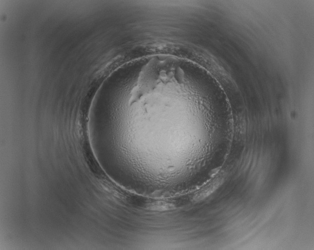 X0000051250754200506171135