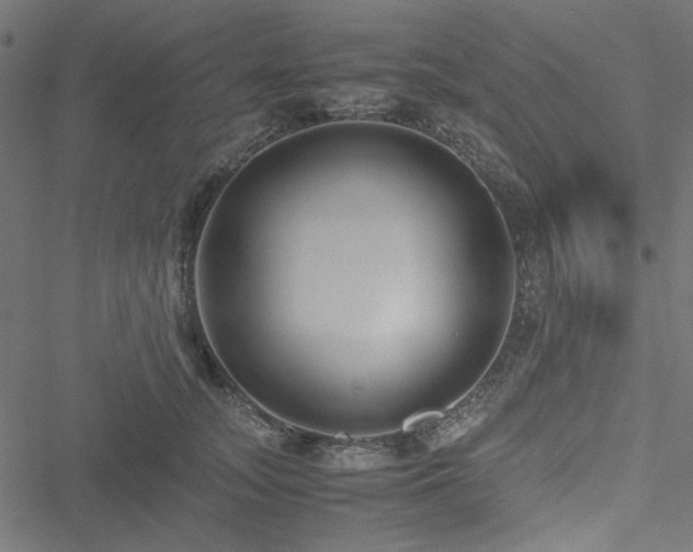 X0000051250755200506171135