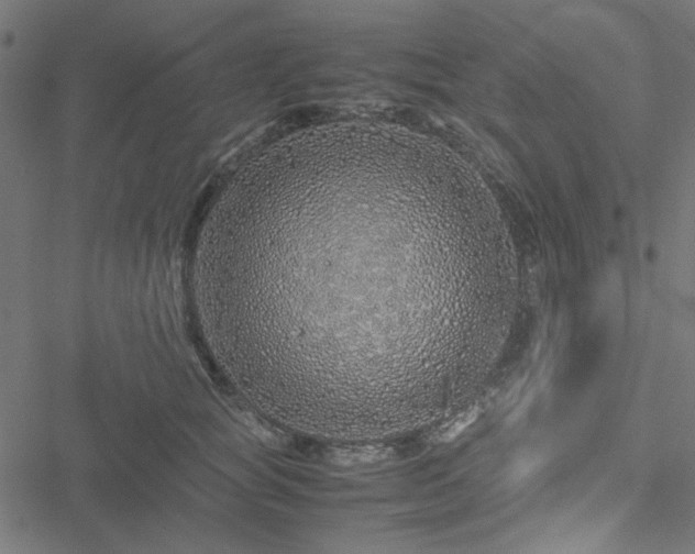 X0000051250757200506171135