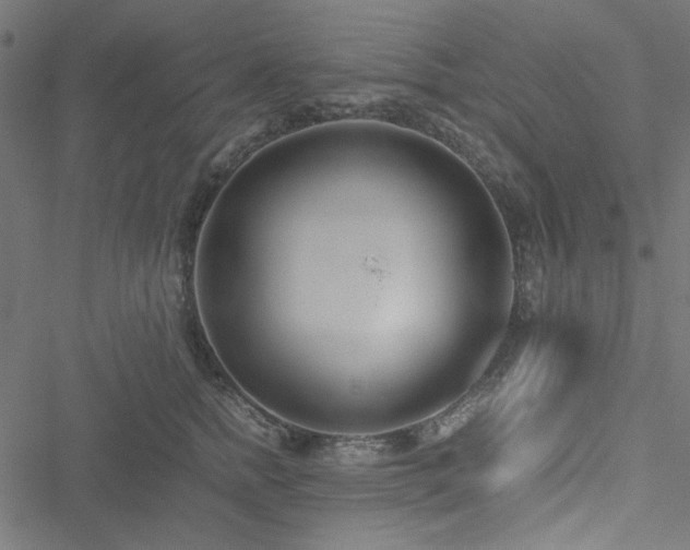 X0000051250758200506171135