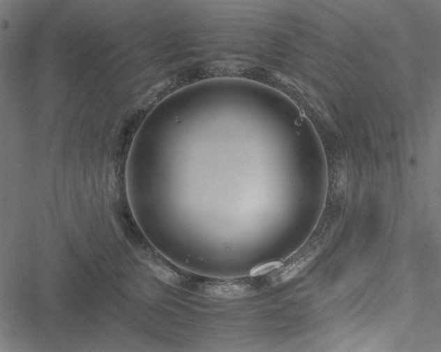 X0000051250759200506171135