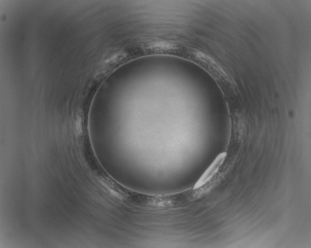 X0000051250760200506171135