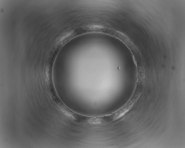 X0000051250762200506171135