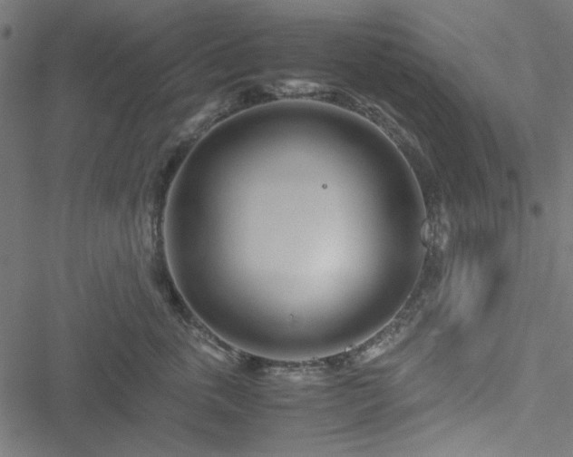 X0000051250763200506171135