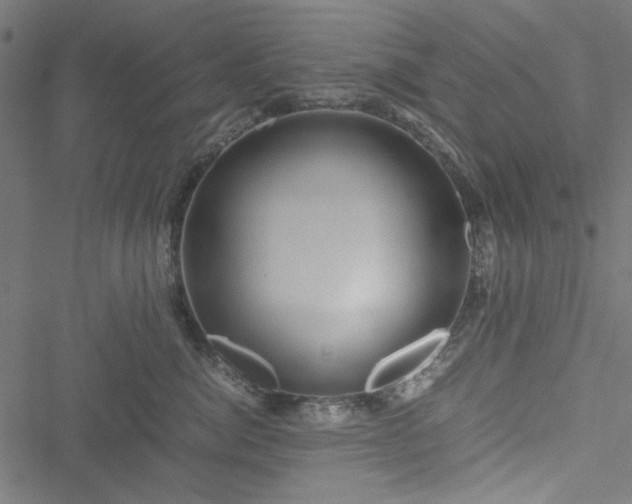 X0000051250764200506171135