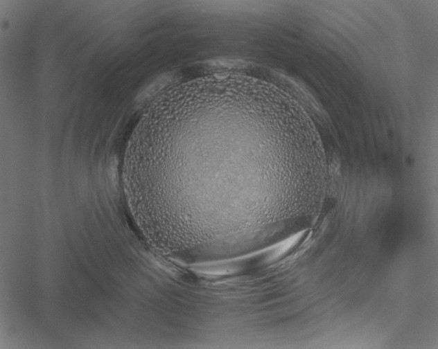 X0000051250765200506171135