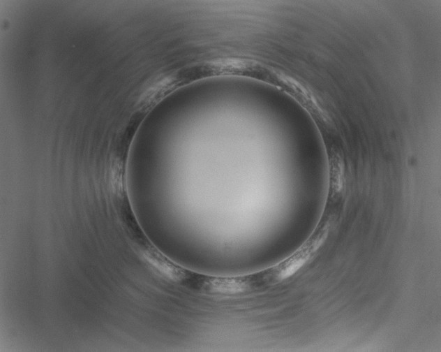 X0000051250766200506171135