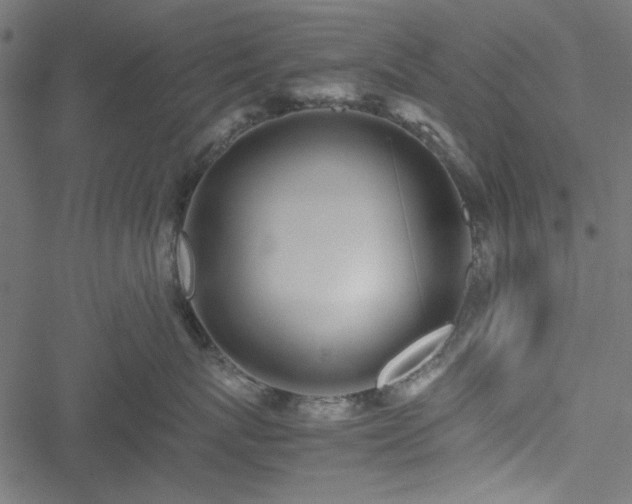 X0000051250767200506171135