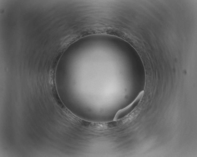 X0000051250768200506171135