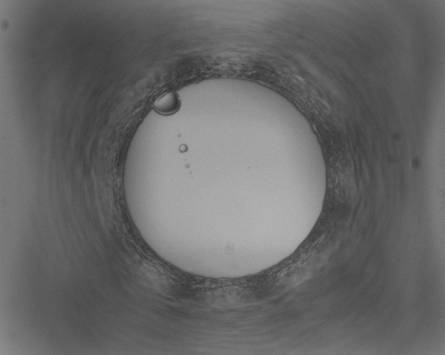 X0000051250769200506171135