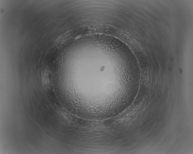 X0000051250770200506171135