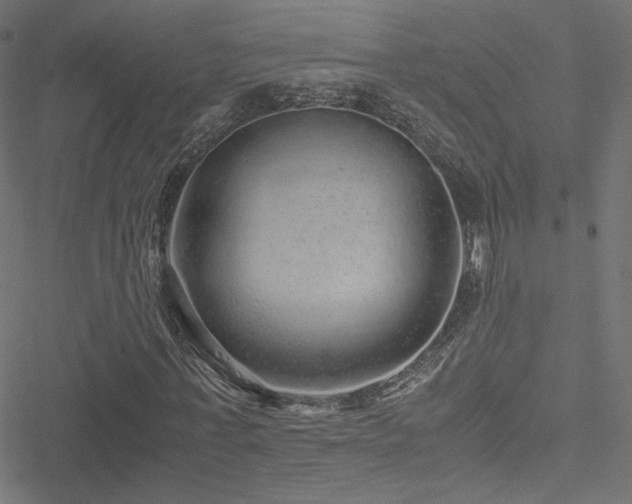 X0000051250771200506171135