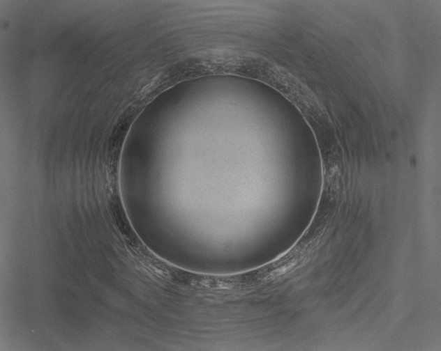 X0000051250772200506171135