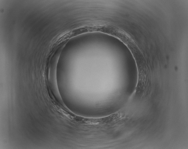 X0000051250773200506171135