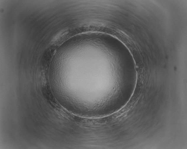 X0000051250774200506171135