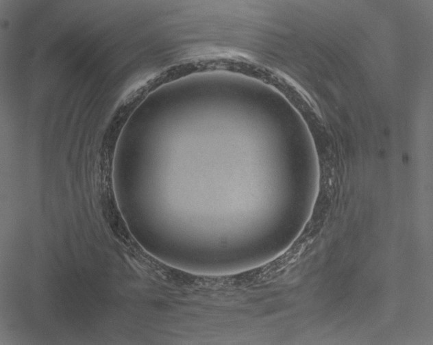 X0000051250775200506171135