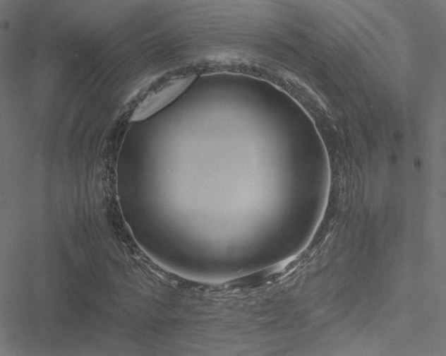 X0000051250776200506171135