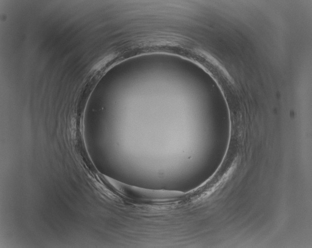 X0000051250777200506171135