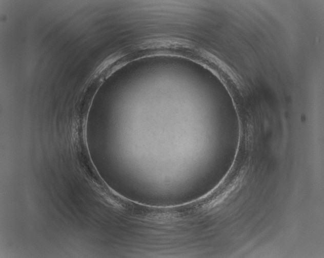 X0000051250778200506171135