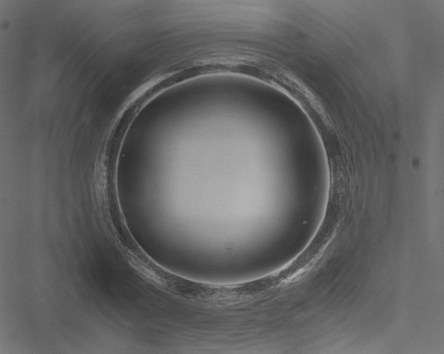 X0000051250779200506171135