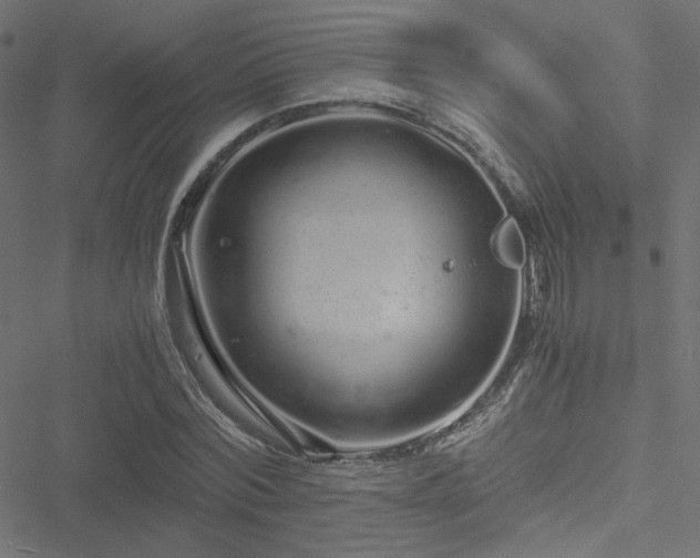 X0000051250780200506171134