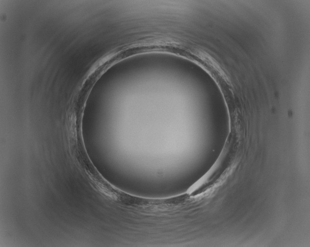 X0000051250781200506171134