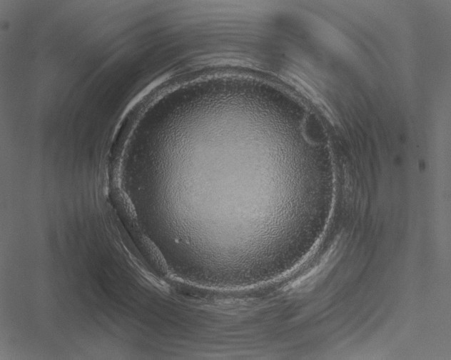 X0000051250782200506171134