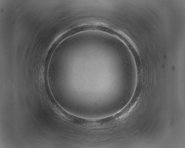 X0000051250783200506171134