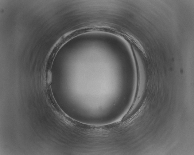 X0000051250784200506171134