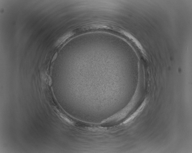 X0000051250785200506171134