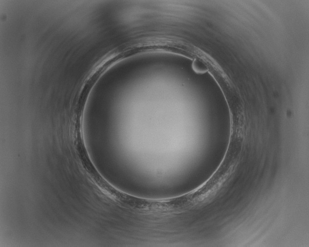 X0000051250786200506171134