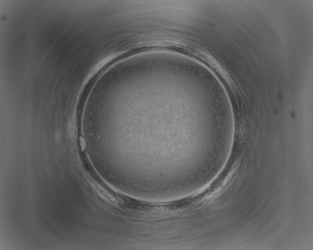 X0000051250787200506171134