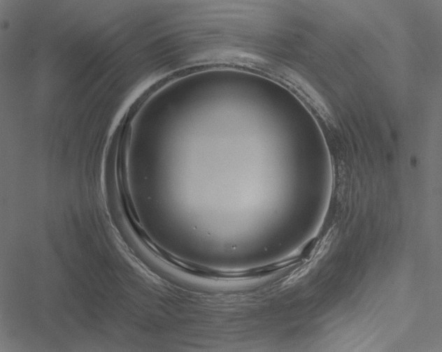 X0000051250788200506171134