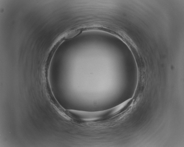 X0000051250789200506171134