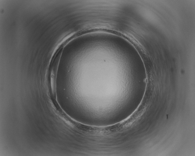 X0000051250790200506171134