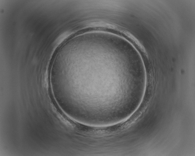 X0000051250791200506171134