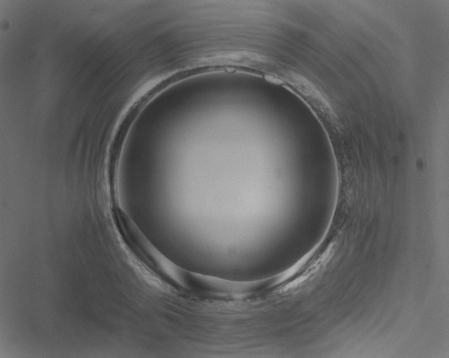 X0000051250792200506171134