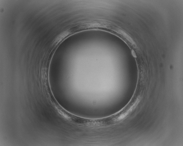 X0000051250793200506171134