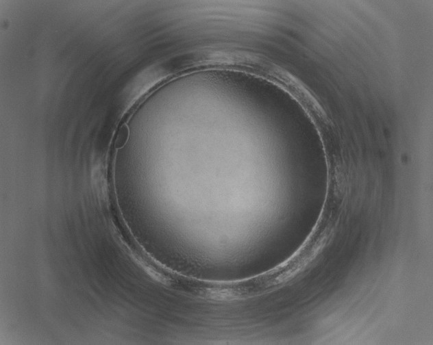 X0000051250794200506171134